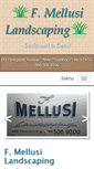 Mobile Screenshot of fmellusi.com